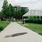 Concrete sidewalk with a faint image of a person etched into the cement.