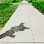 Concrete sidewalk with a faint image of a person etched into the cement.