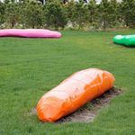 A green, pink and orange oblong objects sit on a green lawn outside.